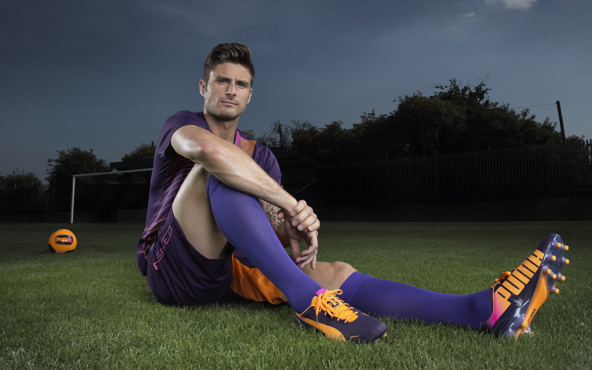 WRC车队合作:团队配合决定胜负,wrc车队排名